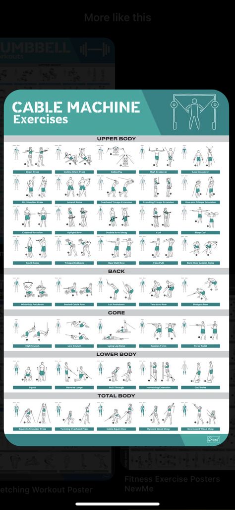 Cable Machine Bicep Workout, Beginner Upper Body Workout, Machine Exercises, Upper Body Workout Gym, Side Workouts, Cable Machine Workout, Muscle Building Women, Cable Workout, Yoga Flows