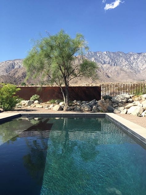 This pool is surrounded by desert landscaping and has views of the mountain range in the distance. #SwimmingPool #pool #backyard #landscaping #desert Mid Century Ranch House, Modern Pool And Spa, Mid Century Modern Ranch, Desert Backyard, Modern Ranch House, Furniture Casters, Pool Backyard, Modern Desert, Modern Ranch