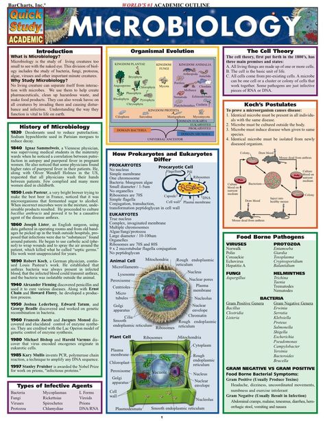 Micro Biology, Microbiology Notes, Medical Microbiology, Microbiology Study, Cell Theory, Microbiology Lab, Nurse Study, Nurse Study Notes, Biology Facts