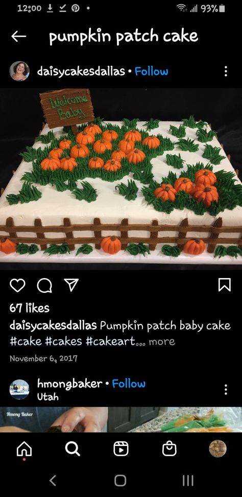 Pumpkin Theme Sheet Cake, Fall Sheet Cake, Fall Cake Decorating Ideas, Dessert Auction, Fall Themed Desserts, Pumpkin Patch Cake, Pumpkin Shaped Cake, Baby Shower Sheet Cakes, October Birthdays