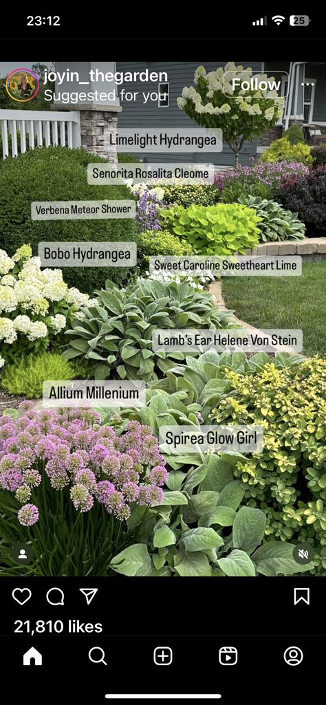 Front Garden Landscape, Front Yard Garden Design, Sweet Caroline, Front Landscaping, Planter Ideas, Home Landscaping, Garden Yard Ideas, Design Exterior, Front Yard Garden