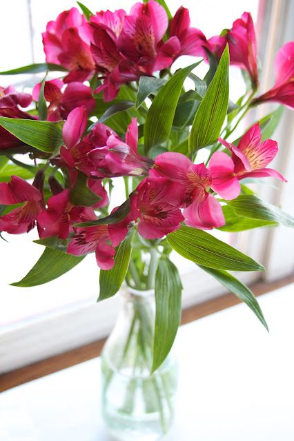 Alstroemeria- my favorite. Love picking up a bunch every time I go to Trader Joe's. Alstroemeria Centerpiece, Alstroemeria Wedding, Friendship Flowers, June Flower, Peruvian Lilies, Rosa Pink, Magenta Flowers, Wedding Reception Centerpieces, Wedding Deco