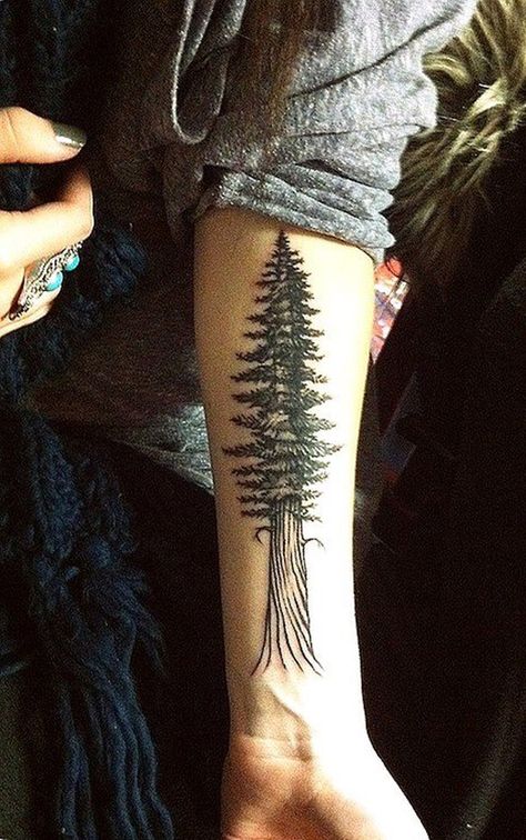 Giant Pine. tree tattoos ... Tattoo Trees, Tree Tat, Tree Tattoo Arm, Tier Tattoo, Maori Tattoos, Pine Tree Tattoo, Forearm Tattoo Design, Tree Tattoo Designs, Hand Tattoo