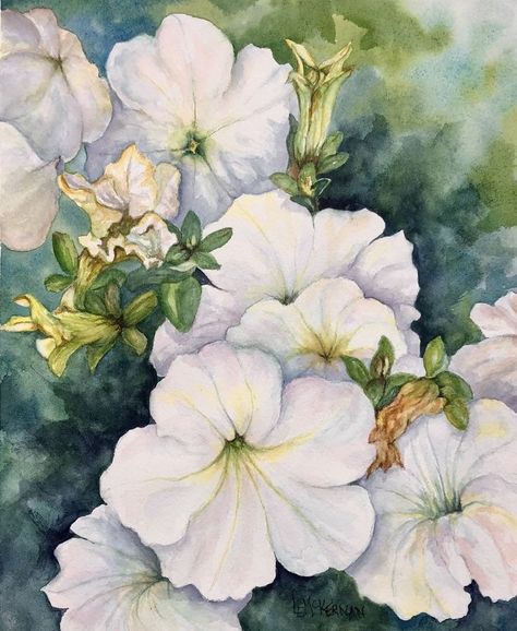 White Flower Watercolor, Realistic Reference, White Petunias, White Flower Painting, Fabric Painting On Clothes, Acrylic Painting Flowers, Flowers Watercolor, Watercolor Flowers Paintings, Watercolour Art