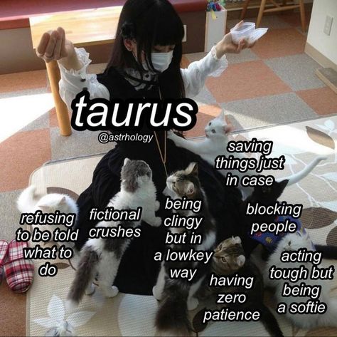 Taurus Funny, Taurus Zodiac Quotes, Virgo Things, Virgo Energy, Taurus Memes, Virgo Memes, Taurus Quotes, Taurus Zodiac Facts, Virgo Quotes