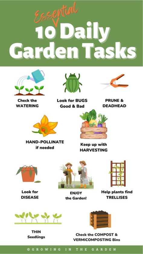 Are you looking for a foolproof way to ensure your garden thrives? Check out our Daily Garden Checklist, complete with a free printable! Our checklist covers the 10 essential tasks you need to do every day to maintain a beautiful and healthy garden. From watering to weeding, our checklist has got you covered. Download our free printable and get started today! #gardeningtips #gardenchecklist #dailyroutine #greenery #gardenlove #printable #freeprintable #gardenmaintenance #gardeninghacks Garden Checklist, Garden Organization, Small Vegetable Gardens, Future Garden, Garden Hacks, Vegetable Gardens, Garden Maintenance, Healthy Garden, Home Vegetable Garden