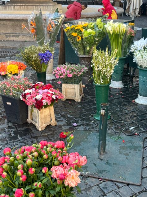 Spring in #Rome #romeitaly #spring #flowers Rome In Spring, Rome Italy, Spring Flowers, Rome, Milan, In Italy, Italy, Collage, Flowers