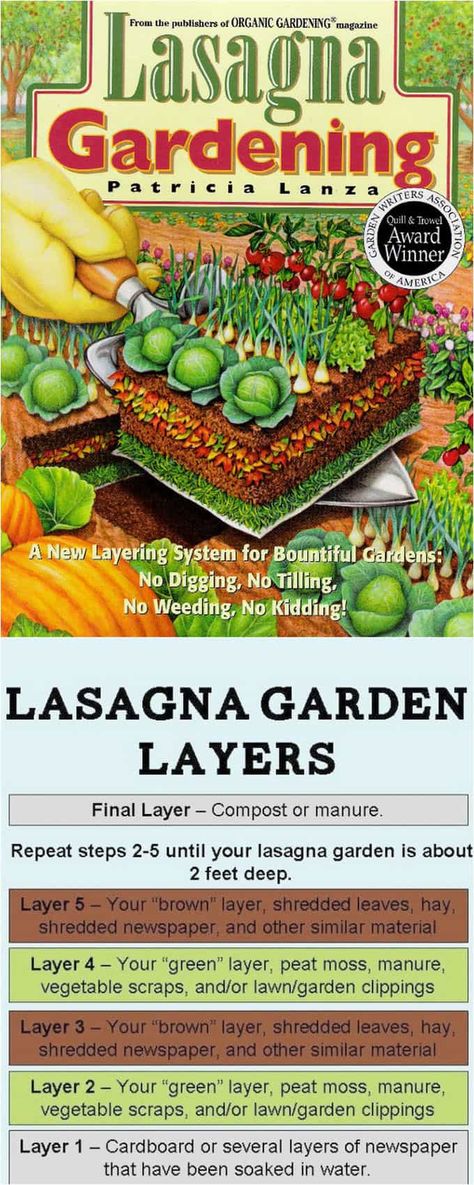 Detailed guide on how to build great raised bed gardens for vegetables and flowers! Lots of tips and ideas on best designs, compost and soil building, and best materials to build productive & beautiful DIY raised beds!n Diy Raised Beds, Lasagna Garden, Raised Bed Gardens, Lasagna Gardening, Winter Vegetables Gardening, Diy Garden Bed, Building Raised Garden Beds, Vegetable Garden Raised Beds, Building A Raised Garden