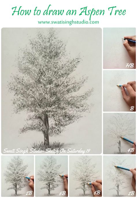 Swati Singh Art | Blog Aspen Tree Drawing, Trees Drawing Tutorial, Family Tree Painting, Tree Painting Canvas, Pencil Drawings For Beginners, Aspen Tree, Pencil Drawing Tutorials, Tree Sketches, Blog Art