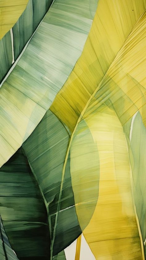 Palm leaves green abstract nature. | free image by rawpixel.com / Tang Rawpixel Background, Wallpaper Tenis, Tropical Backgrounds, Iphone Wallpaper Tropical, Camoflauge Wallpaper, Palm Leaves Wallpaper, Tropical Prints Pattern, Background Frames, Wallpapers Abstract