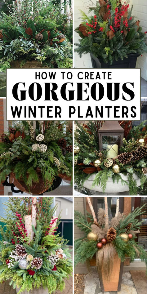 Gardening doesn't have to stop when the temperature drops! Explore our post full of winter container planter ideas that will make your home festive this season! Christmas Planter Boxes Outside, Outdoor Winter Planter Ideas, Winter Porch Pots Diy, Winter Pots Outdoor Planters, Condo Entrance, Christmas Planters Diy, Winter Planter Ideas, Winter Hanging Baskets, Winter Window Boxes