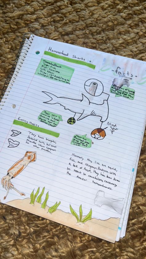 Animal Notes Aesthetic, Marine Biology Notes Turtle, Marine Science Notes, Marine Biology College, Marine Biology Notes Sharks, Marine Biology Student Aesthetic, Marine Biology Book, Marine Biology Journal Pages, Marie Biology