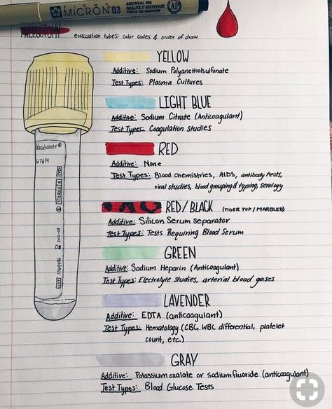 Pin by Madison Hensen on A&P HELP ‼️ | Nursing school survival, Medical assistant student, Nursing school notes Phlebotomy Study, Medical Assistant Student, Kedokteran Gigi, Nursing School Motivation, Nurse Study Notes, Nursing Student Tips, Medical Student Study, Nursing School Survival, Nursing School Studying