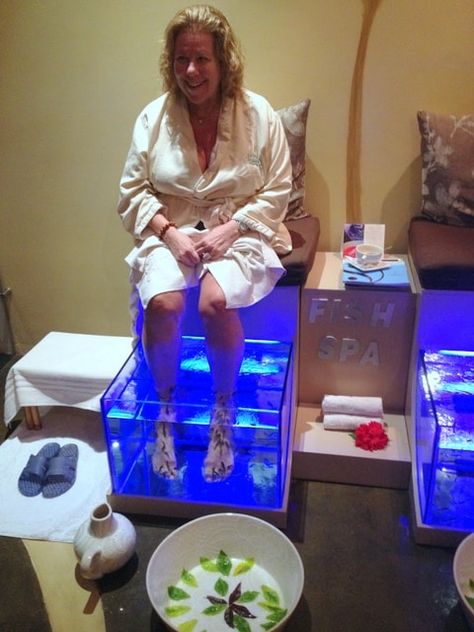 My first fish pedicure: An underwater adventure in Riviera Maya - MORE TIME TO TRAVEL Fish Pedicure, Grand Velas Riviera Maya, Woodlawn Cemetery, Pedicure Station, Pedicure At Home, Water Adventure, One Fish, Southern Comfort, Best Cruise