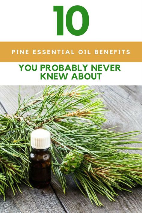 Seasonal Allergy Symptoms, Pine Essential Oil, Pine Oil, Aromatherapy Recipes, Essential Oils Herbs, Health Ideas, Essential Oil Benefits, Living Essentials Oils, Natural Lifestyle