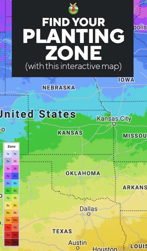 Planting Zones Map | Find Your Gardening Zones by ZIP Code Growing Zones Map, Gardening Zone Map, Planting Zones Map, Garden Zones, Colorado Gardening, Planting Zones, Plant Zones, Gardening Zones, Texas Gardening