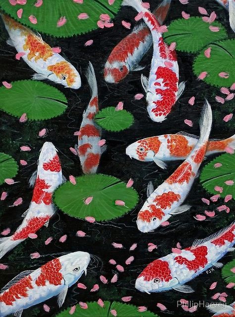 Koi With Fallen Cherry Blossom. #art #artwork #koi #koifish #koifishponds #pond #cherryblossom  #myart Black Goldfish, Cherry Blossom Petals, Pond Painting, Koi Art, Koi Fish Pond, Cherry Blossom Art, Japanese Koi, Blossoms Art, Wood Burning Art