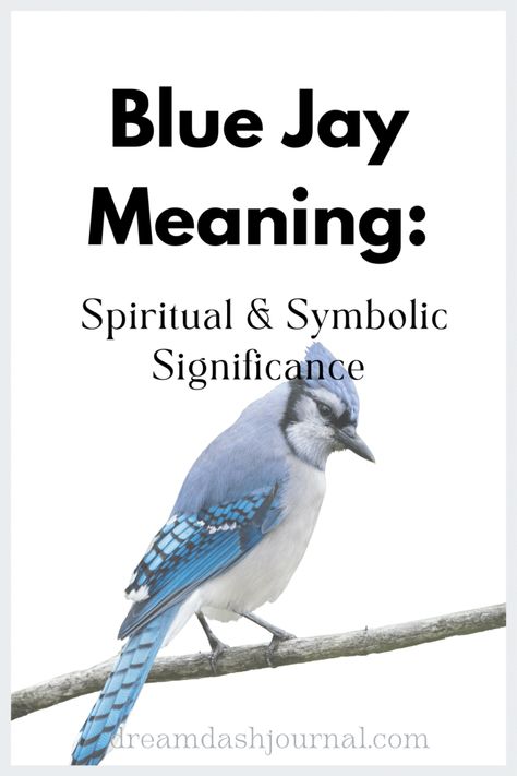 Blue Jay Meaning Seeing A Blue Jay Meaning, Bluejay Meaning, Spiritual Meaning Of Blue Jays, Blue Jay Meaning Spiritual, Blue Jay Spiritual Meaning, Bluejay Spiritual Meaning, Deja Vu Meaning, Blue Jay Meaning, Lightworker Spirituality