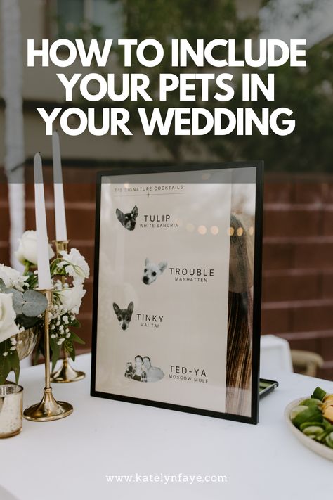 Pets Wedding, Include Pets In Wedding, How To Include Pets In Wedding, How To Include Your Cat In Your Wedding, How To Incorporate Dogs Into Wedding, Pets Included In Wedding, How To Include Your Dog In Your Wedding, Including Pets In Wedding, Ways To Incorporate Dogs In Wedding