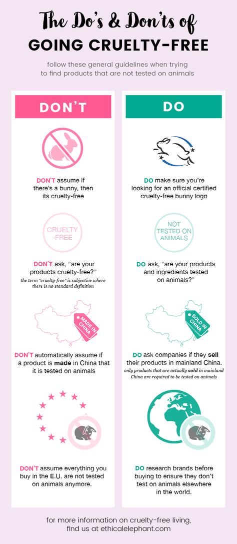 The Do's and Dont's of Going Cruelty-Free | ethical elephant Cruelty Free Sunscreen Face, Do And Dont, Cruelty Free Hair Products, Cruelty Free Makeup Brands, Mean To Be, Vegan Products, Cosmetics Industry, Cruelty Free Cosmetics, Cruelty Free Brands