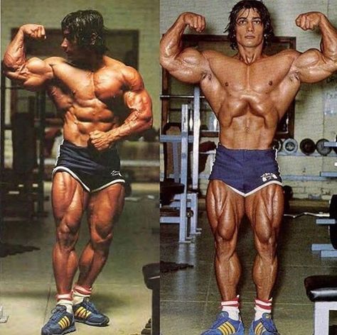 Danny Padilla "The Giant Killer" Golden Era Bodybuilding Tee's. Golden Era Bodybuilding, Danny Padilla, Gym Icon, Old Bodybuilder, Frank Zane, Aesthetics Bodybuilding, Bodybuilding Pictures, Bodybuilding Clothing, Muscle Anatomy