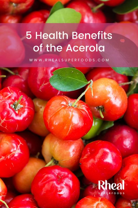 Acerola Cherry Benefits, Health Benefits Of Cherries, Puerto Rican Style, Benefits Of Berries, Creating Healthy Habits, Health Herbs, Acerola Cherry, Fruit Benefits, Simple Healthy Recipes