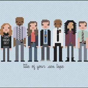 Brooklyn Nine Nine Cross Stitch, Brooklyn 99 Cross Stitch, Pearl Plates, Alpha Bracelets, Tapestry Ideas, Wool Work, Hamma Beads, Brooklyn 99, Cross Stitches