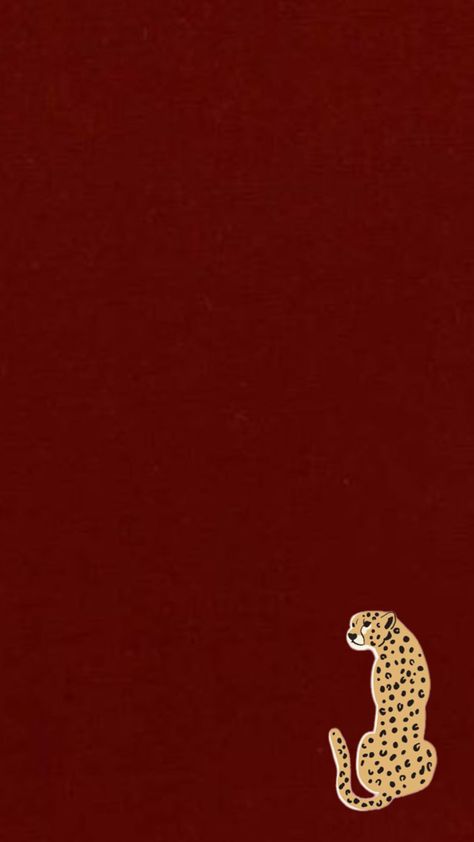 Burnt Orange Wallpaper Aesthetic, Burnt Orange Wallpaper, Red Leopard, Orange Wallpaper, Wallpaper Aesthetic, Burnt Orange, Color Patterns, Wallpapers, Orange