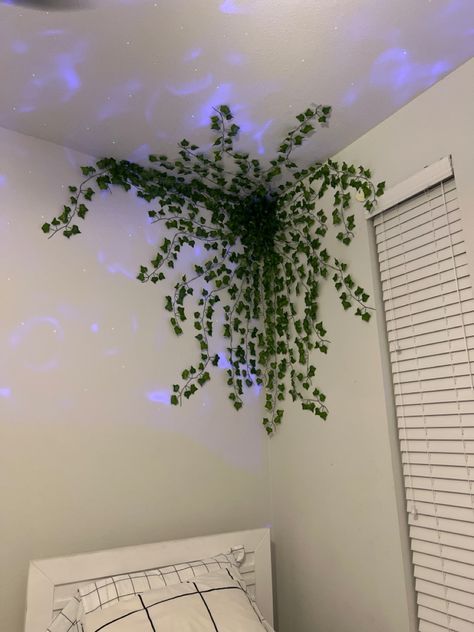 Green Asthetics Rooms, Fake Vines On Ceiling Bedroom, Vines In The Corner Of A Bedroom, Fake Vines Decor Bedroom Ceiling Corner, Vines In Bedroom Window, Fake Vines In Bedroom, Corner Vines Bedroom, Fake Leaf Wall Decor Bedroom Ideas, Faux Vines Decor Bedroom