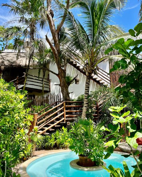 ☀️🌿A break from the sun in this tucked-away oasis at our lazy river pool🌴🌸 #tulum #tulumbeach #thebeachtulum #visittulum #lazyriverpool River Pool, Lazy River Pool, Tulum Beach, Lazy River, Tulum, Oasis, The Sun, Pool, Sun