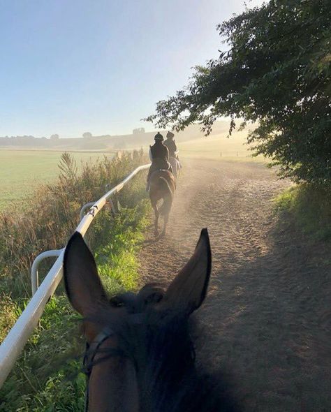 Horse Esthetics, Horse Ears, Equestrian Aesthetic, Country Lifestyle, Happy Trails, Future Lifestyle, Cute Horses, Horse Life, Future Life