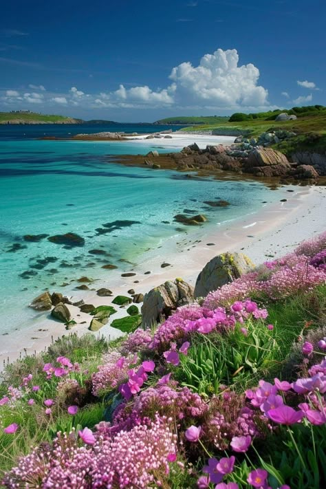 Isle Of Scilly, Scilly Islands, Uk Holiday Destinations, Fabric Art Ideas, Cornwall Coast, Cornwall Beaches, Wildflowers Photography, Scilly Isles, Tours And Travels