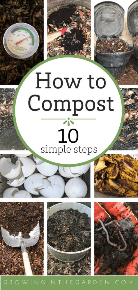 How to Compost: 10 Simple Steps | Growing In The Garden Plantarea Legumelor, How To Compost, Diy Compost, Small Courtyard, Courtyard Gardens, Garden Compost, Garden Wallpaper, Diy Gardening, Luxury Garden