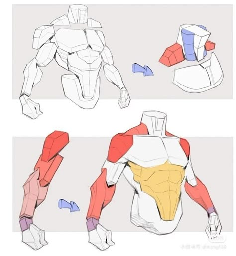 Man Anatomy, Anatomy Tutorial, Human Anatomy Drawing, Body Drawing Tutorial, Human Anatomy Art, Anatomy Sketches, Body Reference Drawing, Anatomy Poses, Anatomy For Artists