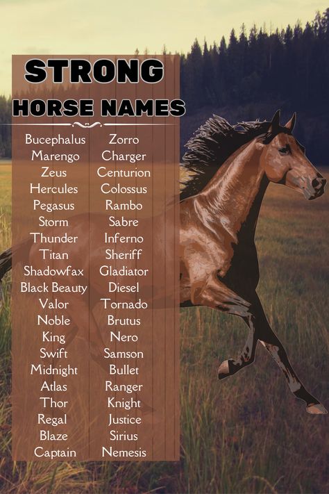 A strong, powerful name can evoke feelings of awe and respect, setting the tone for the horse’s relationship with its owner and the world.

This name becomes a part of the horse’s identity, often carrying with it a sense of legacy and prestige.

Owners might spend considerable time pondering over various names, ensuring the chosen one aligns perfectly with the horse’s spirit and potential. Names For Horses, Horses Names, Rpg Names, Historical Names, Best Horse Names, Horse Hacks, Cute Animal Names, Sims Names, Riding Tips