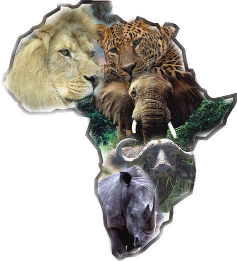 Hunt the big five: lion, cheetah, elephant,cape buffalo, and rhino...better start saving $$$$$$$ Africa Big 5, Big 5 Animals, Africa Tattoos, The Big Five, African Tattoo, Animals Drawing, Afrique Art, Africa Do Sul, Africa Safari