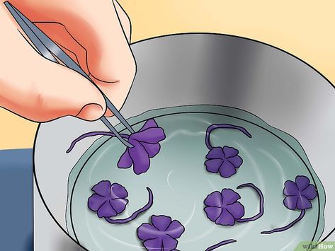 4 Ways to Make Candied Violets - wikiHow Candied Violets, Iridescent Decor, Candy Stores, Egg White Recipes, Edible Flowers Recipes, Liquid Sugar, Foraging Recipes, Vegan Candies, Desserts With Biscuits