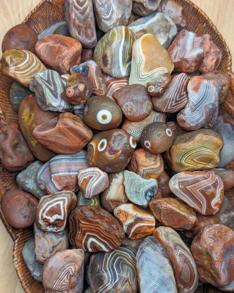 2024 Michigan Rock Hounding Guide: Petoskey Stones, Agates, Yooperlites, & More Michigan Rocks Hunting, Pebble Projects, Pebble Shore Lake, Michigan Aesthetic, Rock Tumbler Diy, Petosky Stone, Lake Michigan Stones, Michigan Rocks, Rock Identification