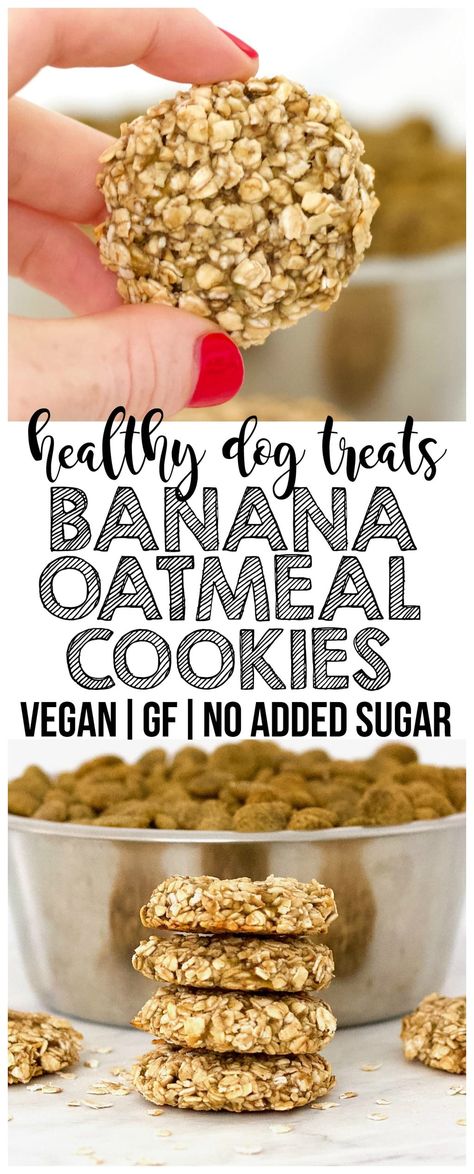 Cookies Banana Oatmeal, Cookies For Dogs, Cookies Banana, Vegan Dog Treats, Dog Cookie Recipes, Homemade Dog Cookies, Dog Biscuit Recipes, Healthy Dog Treats Homemade, Banana Oatmeal Cookies