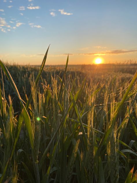 Early Morning Aesthetic Window, Morning Light Aesthetic, Early Morning Aesthetic, Mum Aesthetic, Anna Morgan, Early Summer Morning, Atmosphere Photography, Sunrise Drawing, Bright Morning