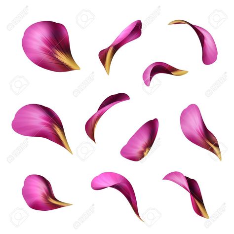 Flower Petals Illustration, Flower Pedals Drawings, Flower Leaf Tattoo, Flower Petals Drawing, Sunflower Centerpieces Diy, Petals Drawing, Purple Flower Petals, Purple Illustration, Sunflower Centerpieces