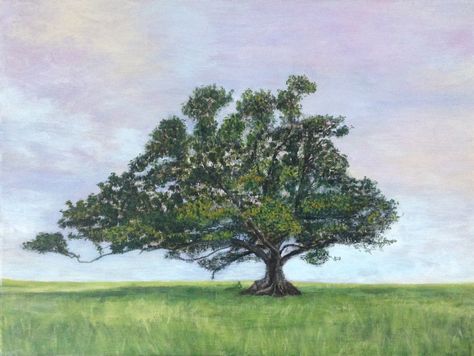 Fig Tree Aesthetic, Fig Tree Painting, Jesus Curses The Fig Tree, Fig Oil Painting, Old Oak Tree Painting, Oak Tree Oil Painting, Christian Videos, Fig Tree, Tree Painting