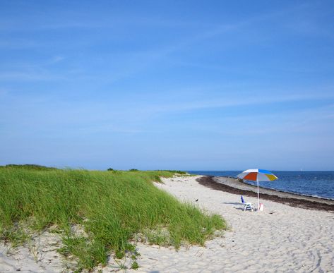 10 beautiful beaches on Buzzards Bay to visit this summer - Buzzards Bay Coalition Buzzards Bay, Island Town, Buzzard, Walking Trails, Coastal Landscape, Best Beaches, Swimmers, Stunning View, Vacation Ideas