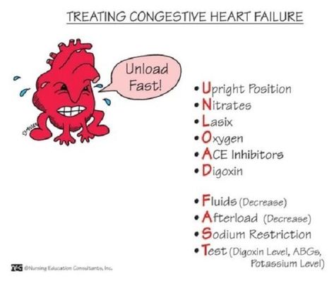 Treating Congestive Heart Failure #nursingstudent #nursesrock #memorize - Image Credits: School Necessities, Nursing Study Tips, Nursing Information, Nursing Board, Nursing Mnemonics, Cardiac Nursing, Pharmacology Nursing, Nursing School Survival, Nursing School Studying