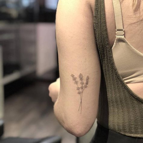 Lavender Tattoo Back Of Arm, Line Lavender Tattoo, Back Of Elbow Tattoos For Women, Back Elbow Tattoo, Fine Line Lavender, Fine Line Lavender Tattoo, Tattoo Healing Stages, Tattoo Lavender, Lavender Tattoos