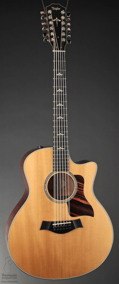 Acoustic Guitar Taylor, 12 String Acoustic Guitar, Taylor Guitars Acoustic, Electric Guitar Lessons, Guitar Designs, 12 String Guitar, Acoustic Guitar Lessons, Best Guitar Players, Taylor Guitars