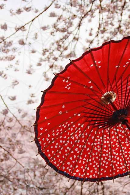 Asian Symbolism - What Umbrella Means to Chinese - umbrella) sound "San" in Chinese. it share the sounds of separation, so giving an umbrella to your loved one is a bad omen. Offering your friend an umbrella means you want the friendship/relationship to be end. Text source: http://asianwesternromance.com Chinese Umbrella, Japan Cherry Blossom, Japanese Umbrella, Umbrella Girl, Red Umbrella, Umbrellas Parasols, Pics Art, Japanese Culture, Shades Of Red