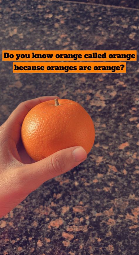 Do you know orange called orange because ornages are orange? Funny Snap Streaks, Snacking Quotes, Snapstreak Ideas, Strike Ideas, Snap Captions, Nature Quotes Beautiful, Aesthetic Word, Khan Khan, Creative Snaps