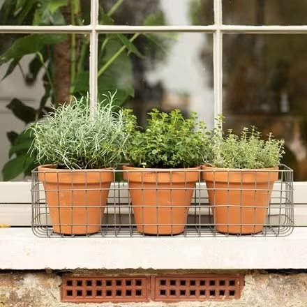 Buy Pots & containers - Pot material: Metal - Delivery by Crocus Victorian Terrace Garden, Window Baskets, Plant Troughs, Winter Window Boxes, Galvanized Planters, Uni Room, Boho Garden, Planter Design, Outdoor Planter