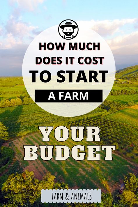 How much does it cost to get started in farming these days? There is no simple answer to this question. Your startup costs depend on many variables including the country or state where you live, the amount of land that you want, the crops and livestock you intend to keep and much more. In this article, we present information to help you determine how much it might cost you to get started in grain farming and in homesteading. Read on to learn more on how much does it cost to start a farm. 1 Acre Homestead, Start A Farm, Starting A Farm, Crop Farming, Acre Homestead, Homesteading Diy, Food Resources, Farm Plans, Homestead Farm